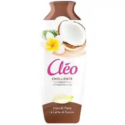 CLEO
