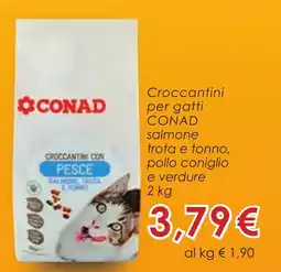 Conad Croccantini per gatti CONAD offerta