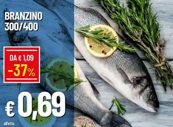 Galassia Branzino 300/400 offerta