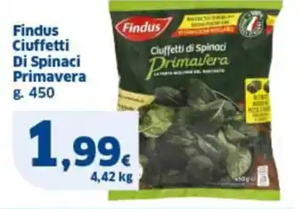 Sigma Findus Ciuffetti Di Spinaci Primavera offerta