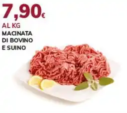 Basko Macinata di bovino e suino offerta