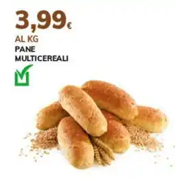 Basko Pane multicereali offerta