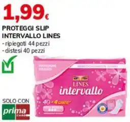 Basko Proteggi slip intervallo LINES offerta