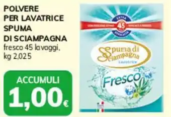 Basko Polvere per lavatrice SPUMA DI SCIAMPAGNA offerta