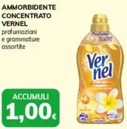 Ammorbidente concentrato VERNEL