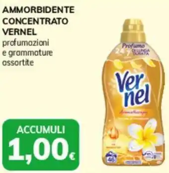 Basko Ammorbidente concentrato VERNEL offerta