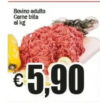 EMMEpiù Bovino adulto carne trita offerta