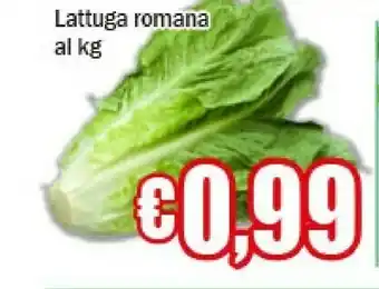 Lattuga romana