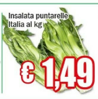 EMMEpiù Insalata puntarelle offerta