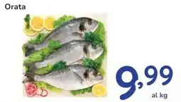 Famila Orata offerta
