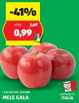 ALDI I colori del sapore mele gala offerta