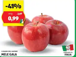 ALDI I colori del sapore mele gala offerta