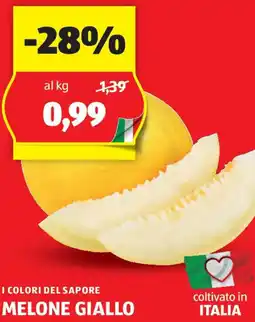 ALDI I colori del sapore melone giallo offerta