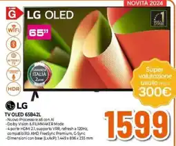 Expert LG TV OLED 65B42L offerta