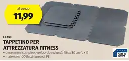 ALDI Crane tappetino per attrezzatura fitness offerta