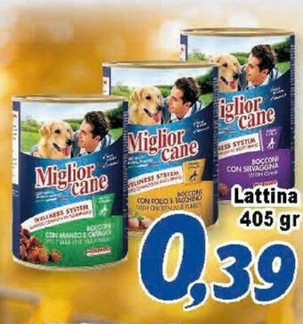 Supermercati Emark Cibo per cani offerta