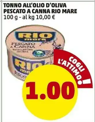 PENNY Tonno all'olio d'oliva pescato a canna 100 g offerta