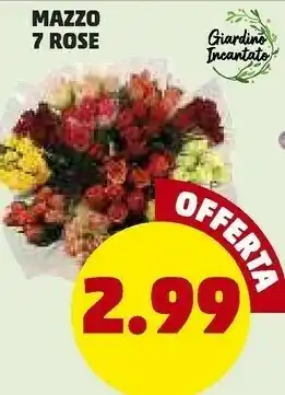Penny mazzo 7 rose