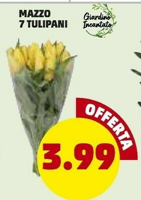 PENNY Giardino incantato mazzo 7 tulipani offerta