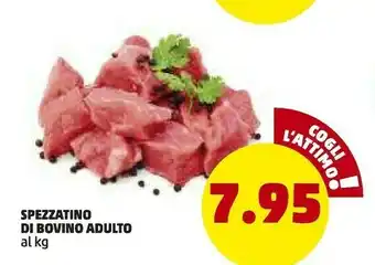 PENNY Spezzatino di bovino adulto offerta