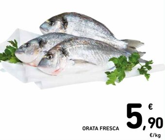 Spazio Conad Orata Fresca offerta