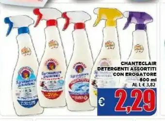 Detergenti assortiti con erogatore