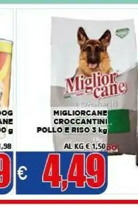 Vivo Supermercati Morando miglior cane croccantini pollo e riso offerta