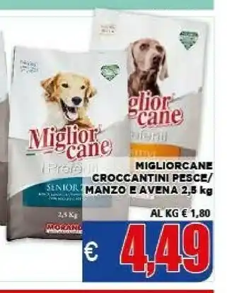 Morando miglior cane croccantini pesce