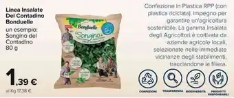 Carrefour Bonduelle Linea Insalate Del Contadino 80g offerta