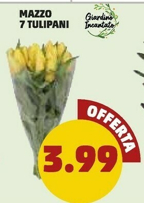 PENNY Mazzo 7 tulipani offerta