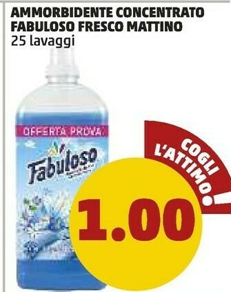 PENNY Ammorbidente concentrato fresco mattino offerta