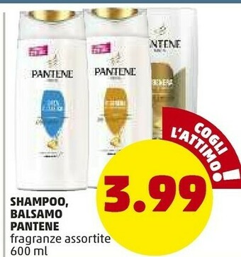 PENNY Shampoo / balsamo offerta
