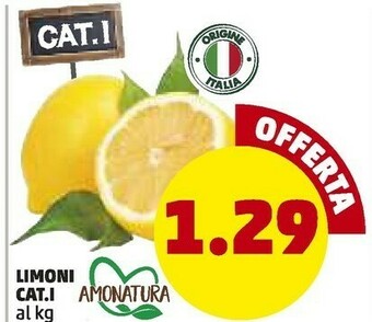 PENNY Limoni offerta