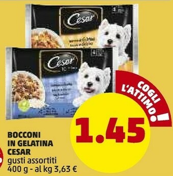 PENNY Bocconi in gelatina offerta