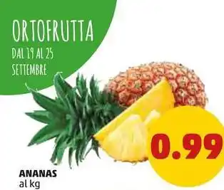 PENNY Ananas offerta