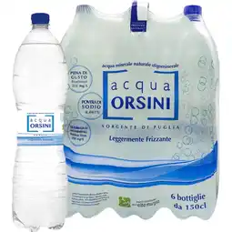 ORSINI