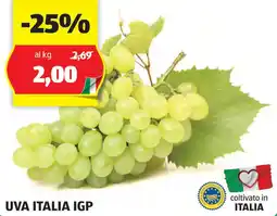 ALDI Uva italia igp offerta