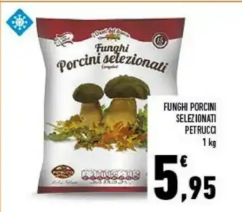 Conad City Funghi porcini selezionati offerta