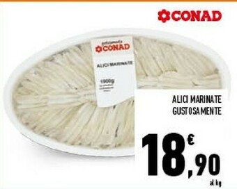 Conad Alici marinate offerta