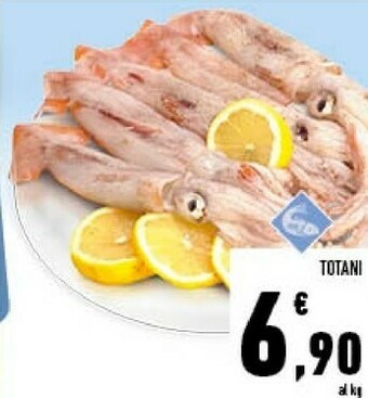 Conad Superstore Totani offerta