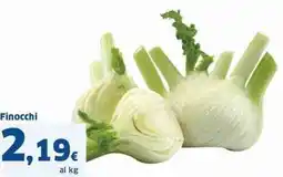Sigma Finocchi offerta