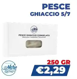 Fish's King Pesce ghiaccio 5/7 offerta