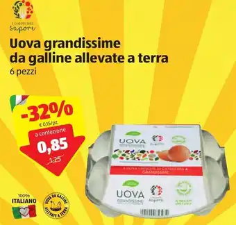 ALDI Uova Grandissime da Galline Allevate a Terra 6 pezzi offerta