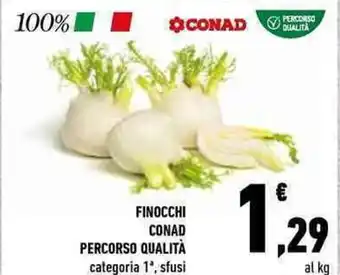 Conad Conad Finocchi Percorso Qualità offerta
