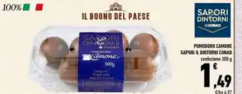 Conad Sapori & Dintorni Conad Pomodoro Camone confezione 300 g offerta