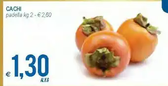 MD Discount Cachi offerta