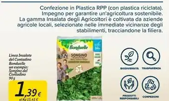 Carrefour Market Songino & radicchio 90 g(ml) offerta