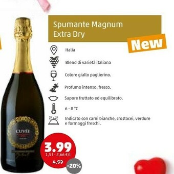 PENNY Spumante magnum extra dry offerta