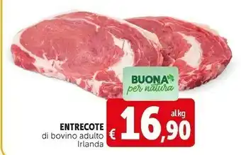 Entrecote di bovino adulto