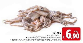 Deco Supermercati Totano pescato fresco offerta